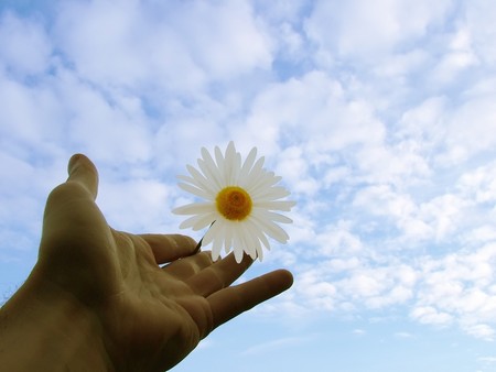 the impossible dream is possible